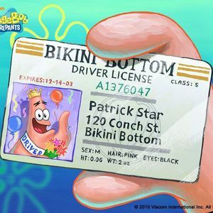 Meet your Posher, Robert